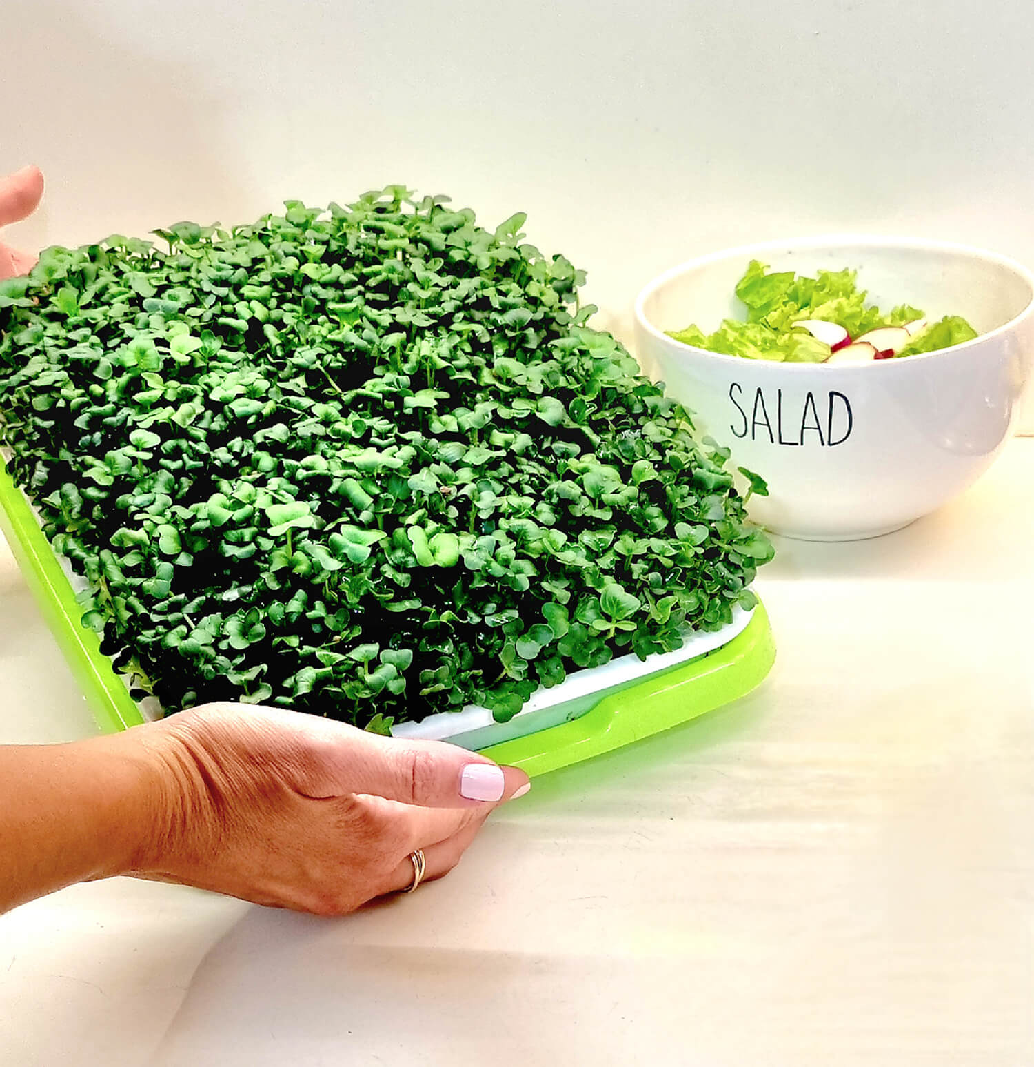 Microgreen 3